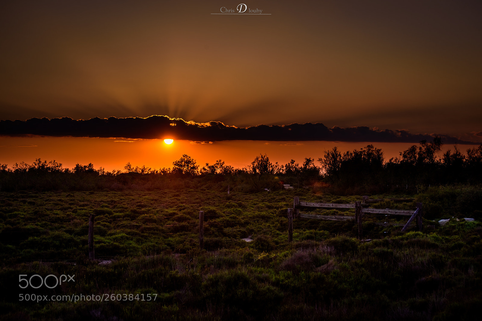 Nikon D810 sample photo. Coucher de soleil photography