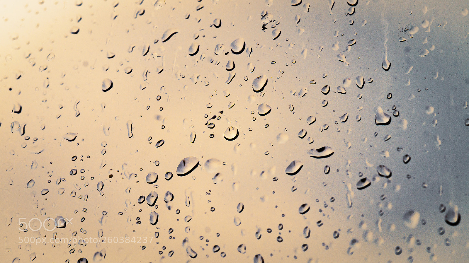 Sony SLT-A58 sample photo. It's a rainy day photography