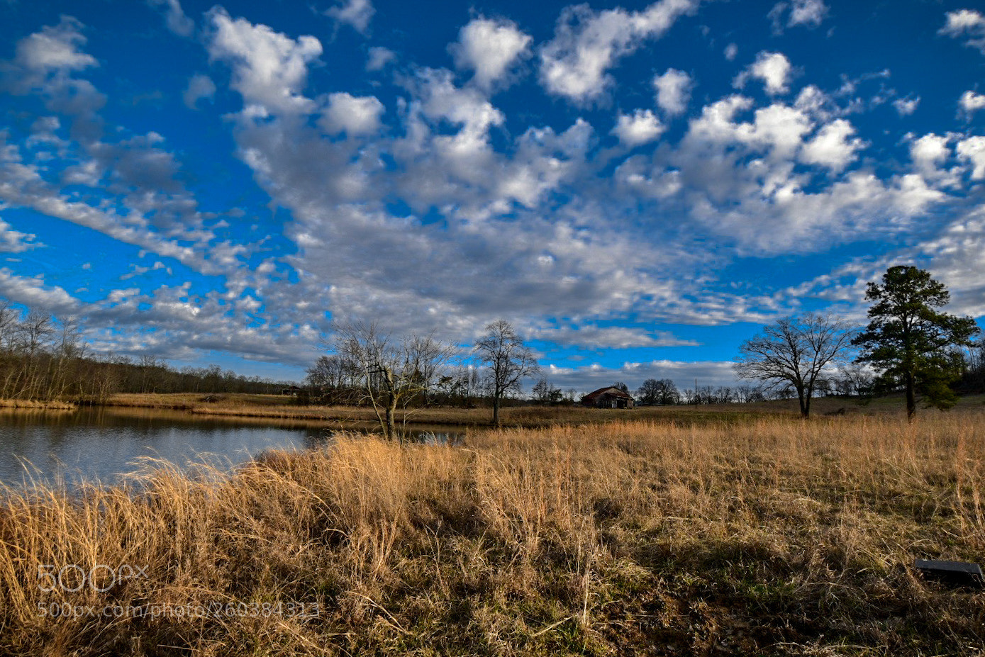 Nikon D5500 sample photo. Old barn on the photography