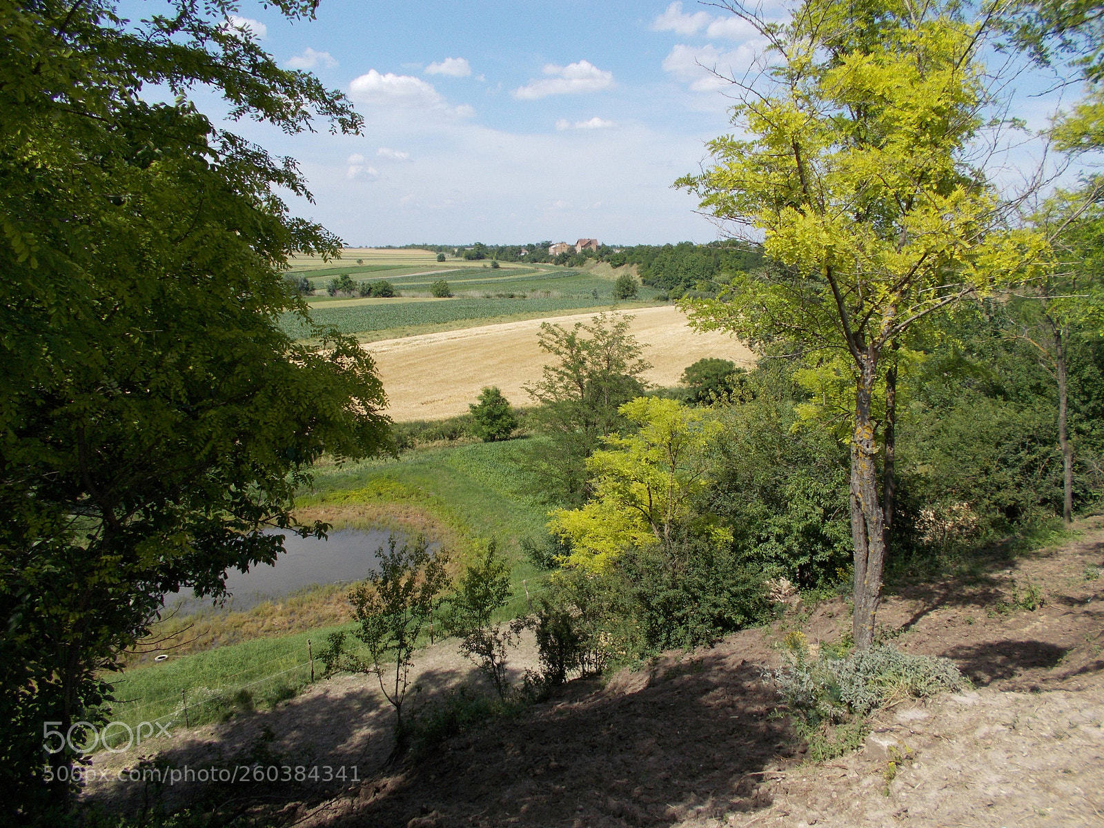 Nikon Coolpix L31 sample photo. Countryside photography