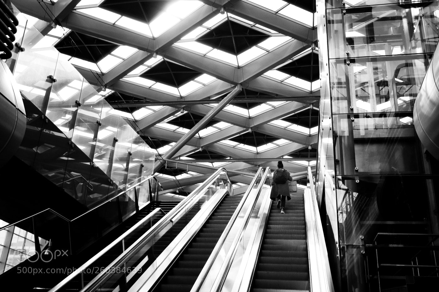 Canon EOS 6D sample photo. Going up photography