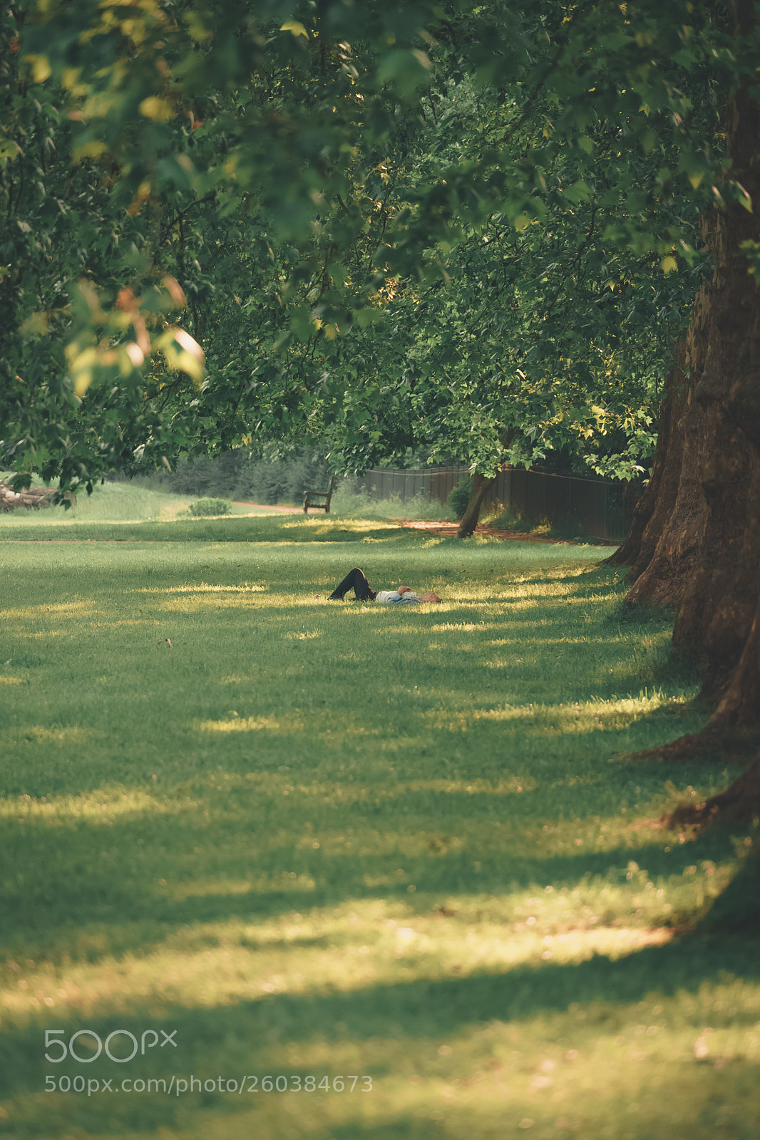 Sony a7 sample photo. Looking into the future photography