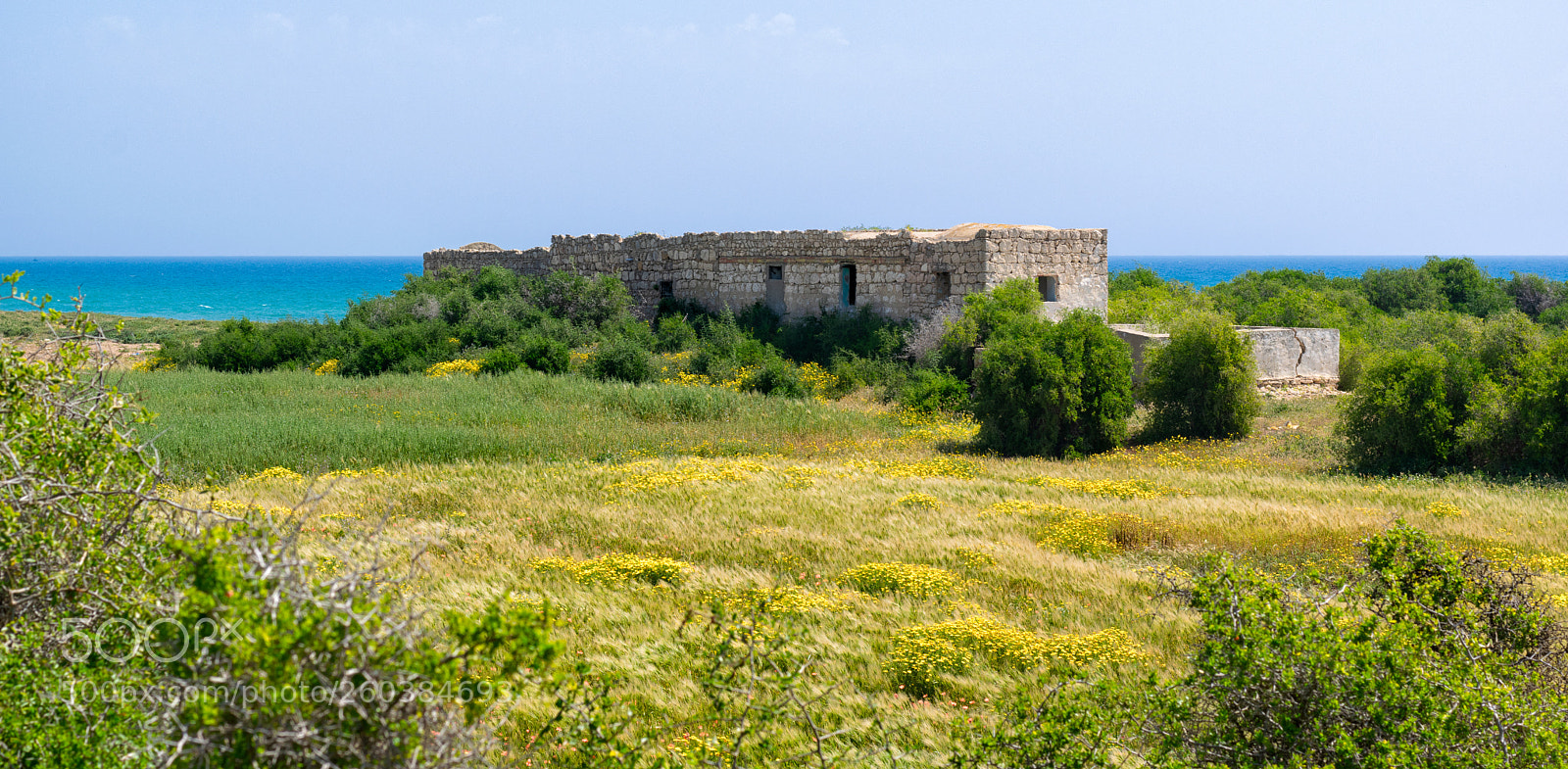 Nikon D5300 sample photo. Lebna - korba photography