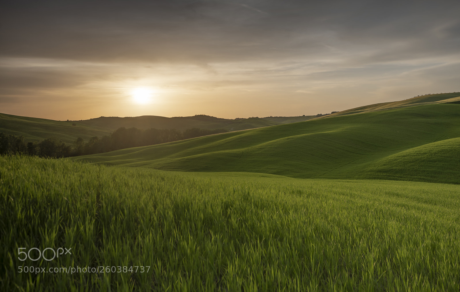 Nikon D750 sample photo. Masaha photography