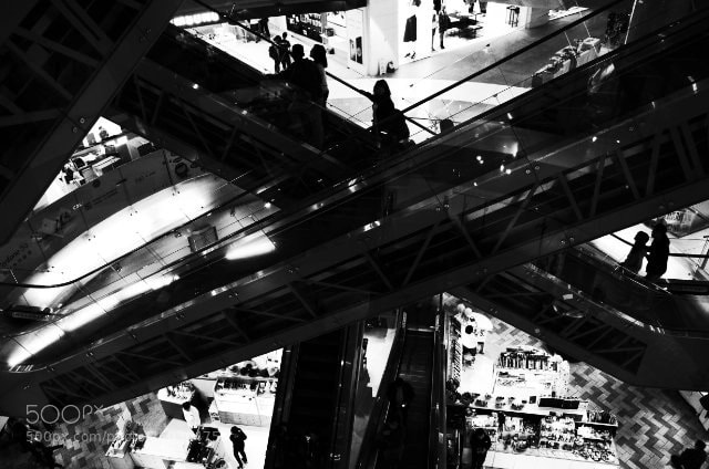Ricoh GR II sample photo. X photography