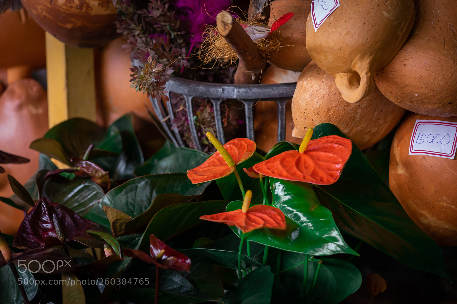 Nikon D5300 sample photo. Untitled photography