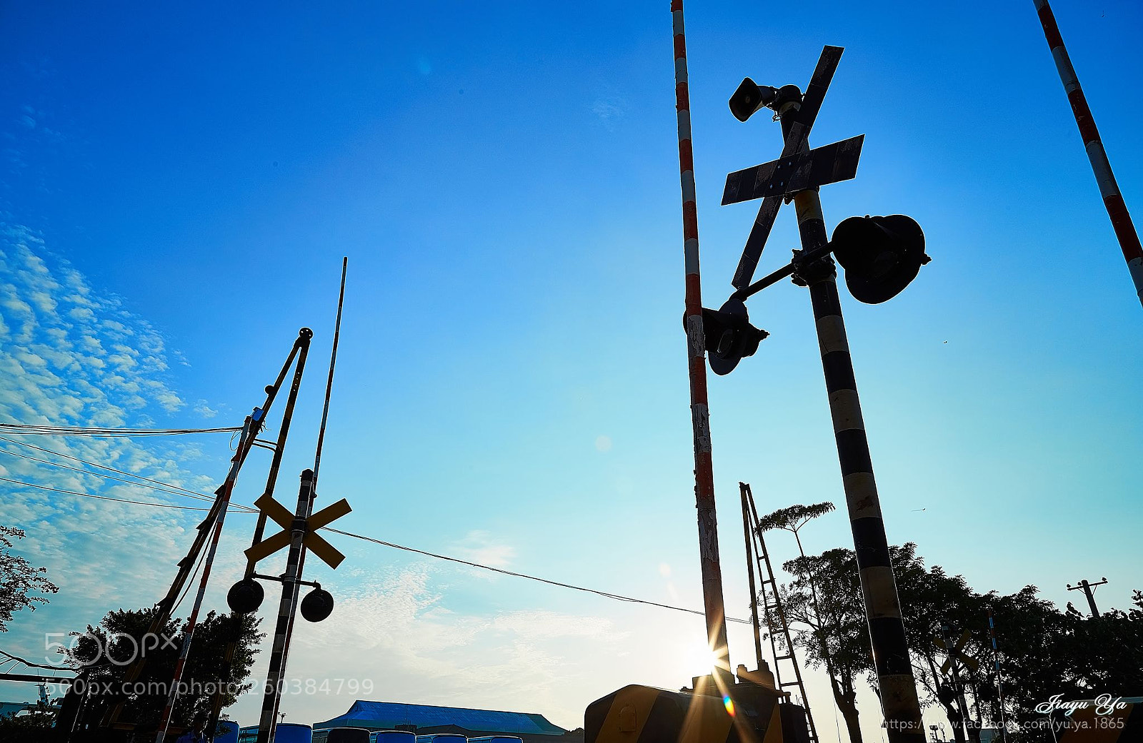 Canon EOS 6D sample photo. 停看聽 photography