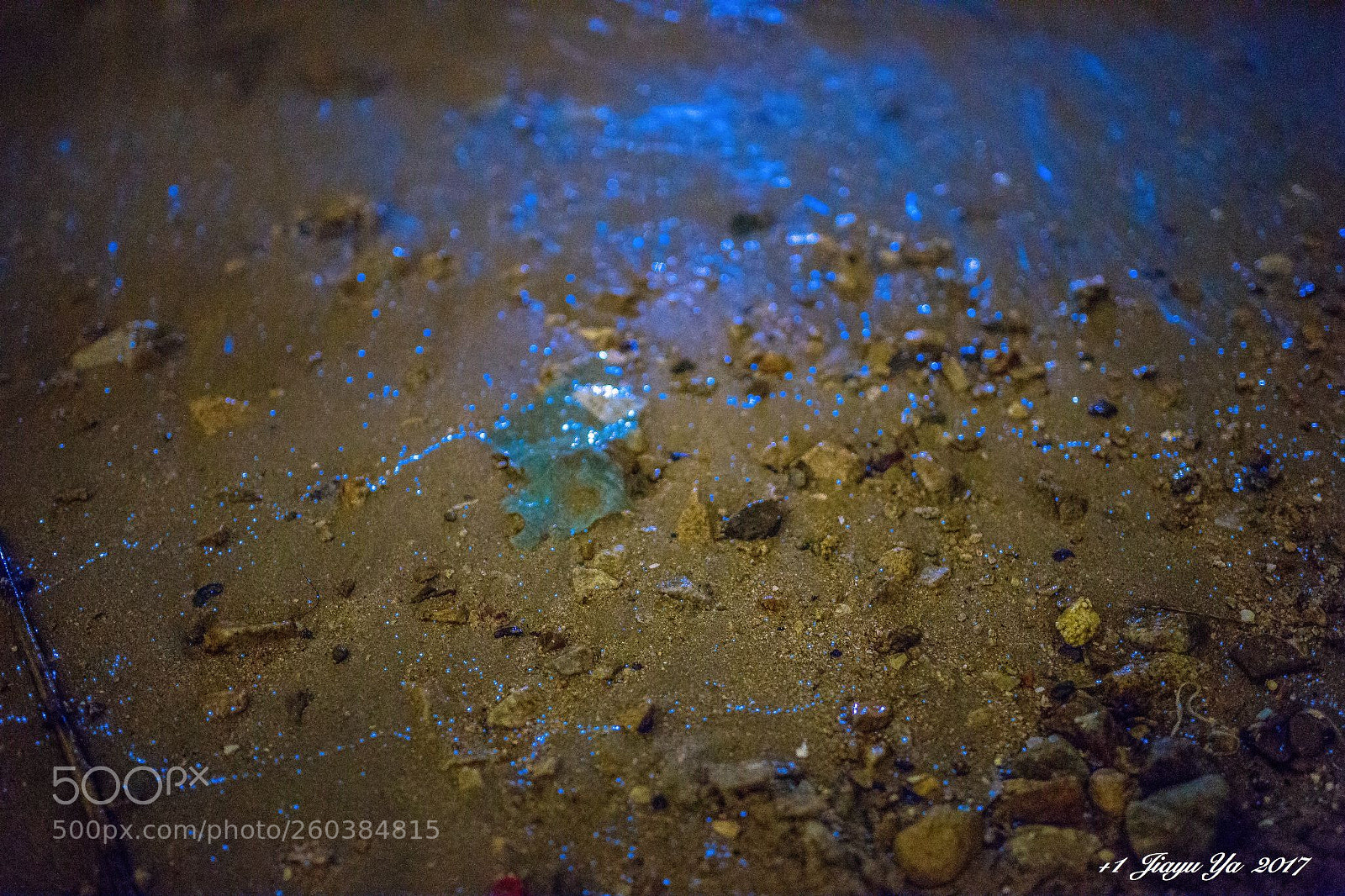 Canon EOS 6D sample photo. 藍眼淚 photography
