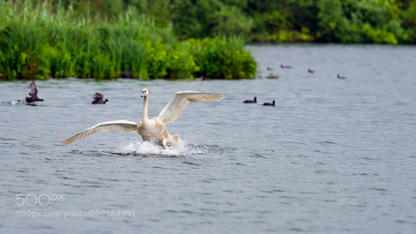 Pentax K-1 sample photo. Beginner splashdown photography