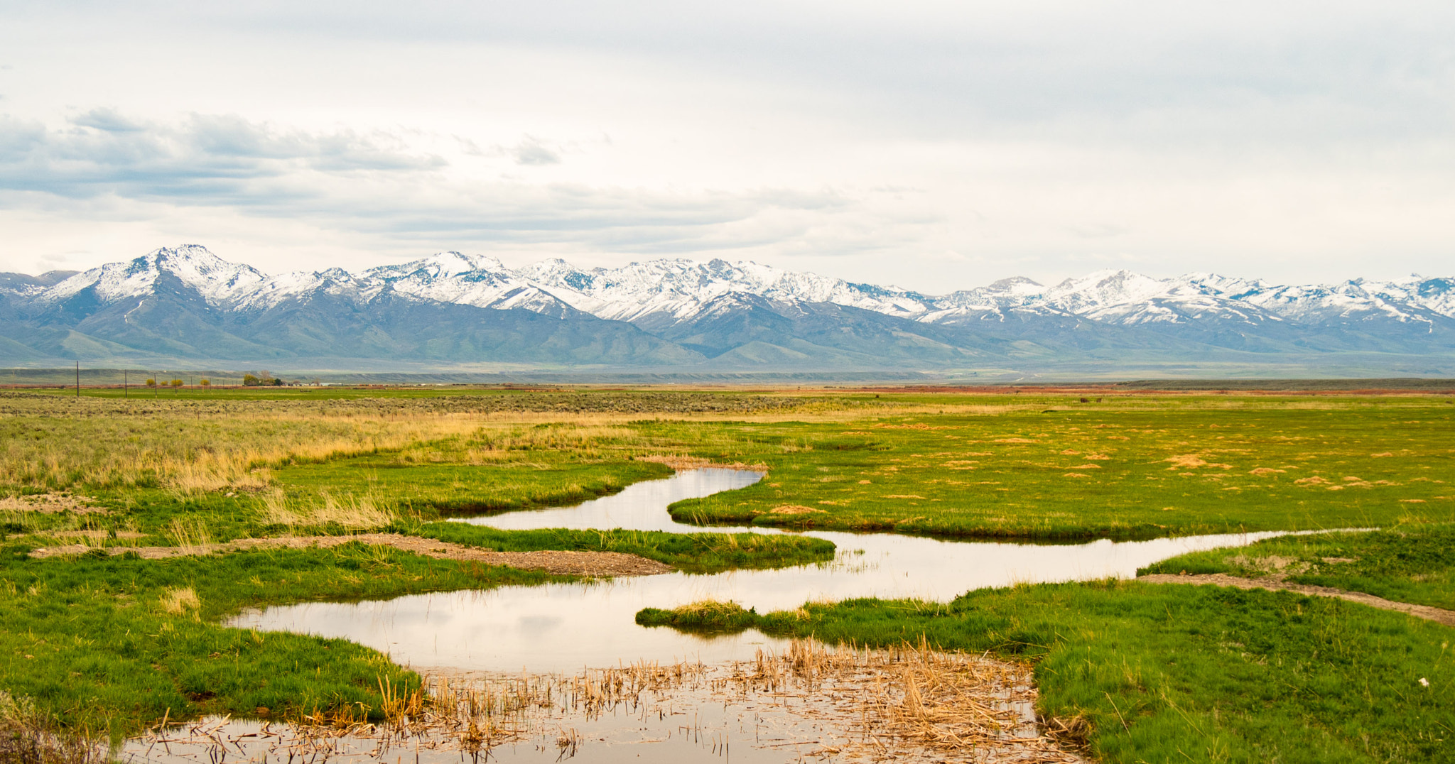 Olympus PEN E-PL7 sample photo. Ruby mountains, nevada, usa photography