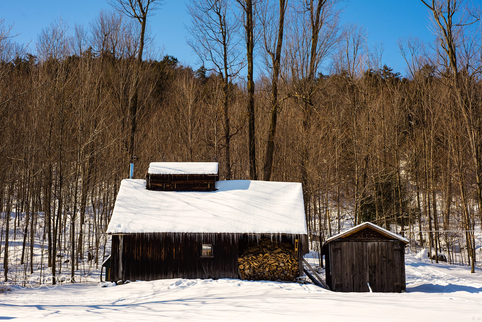 Nikon D600 sample photo. Sugarshack photography