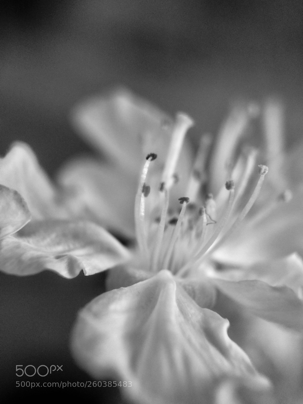Apple iPhone 5s sample photo. Beauty in nature photography