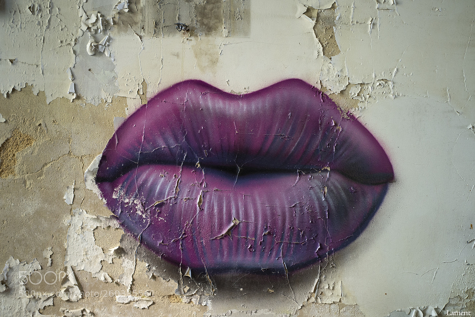 Olympus OM-D E-M10 II sample photo. Lips are sealed photography