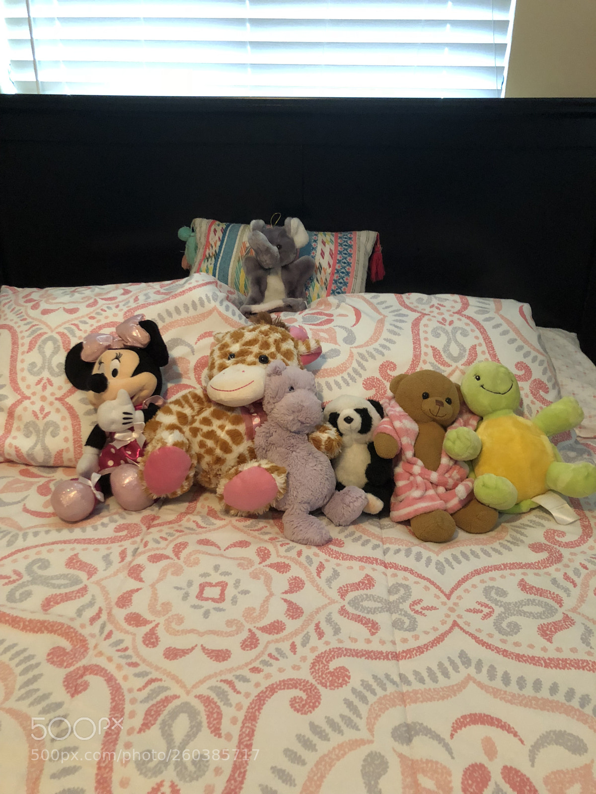 Apple iPhone 8 sample photo. My bed and my photography
