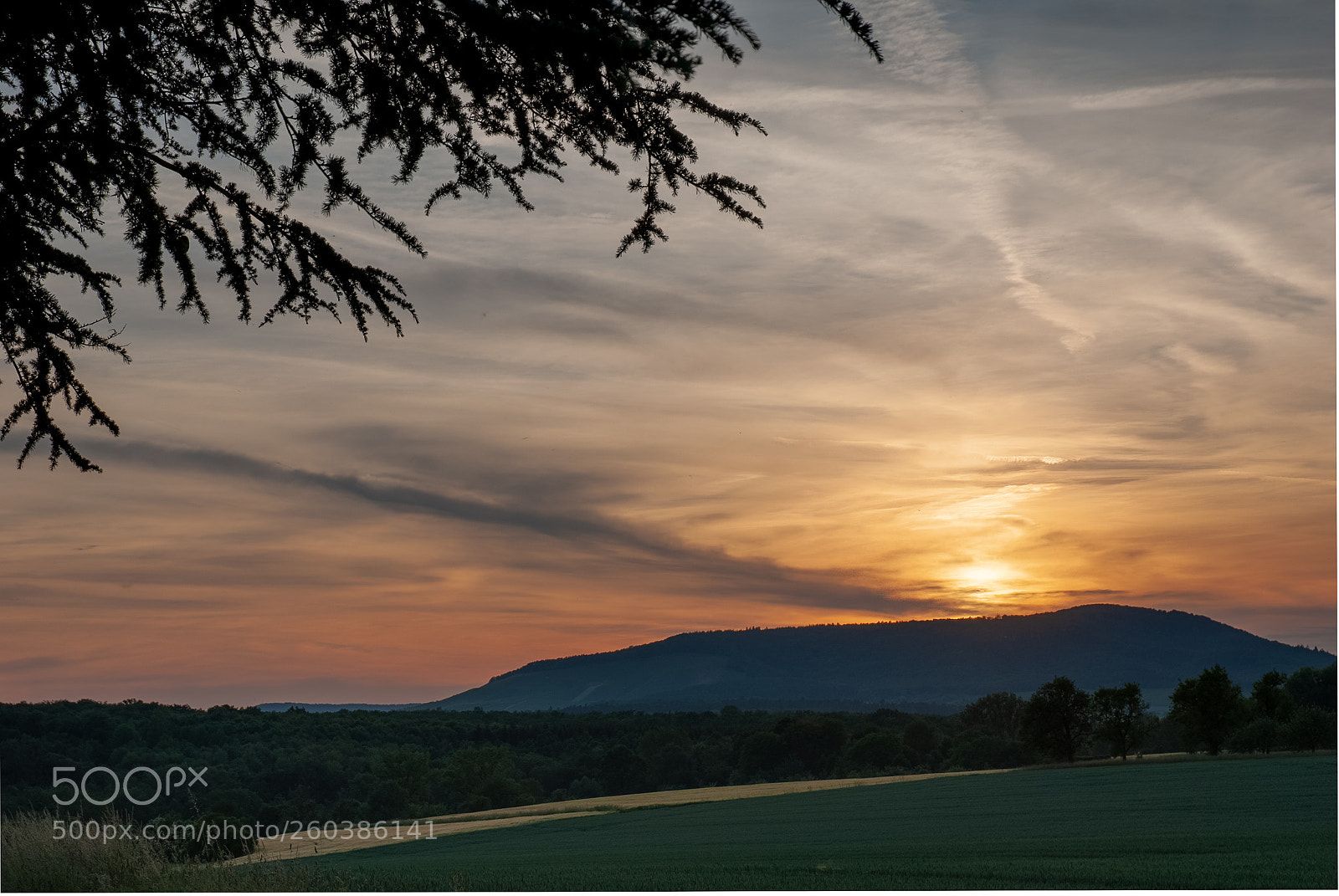 Nikon D80 sample photo. Sundown over verrenberg photography