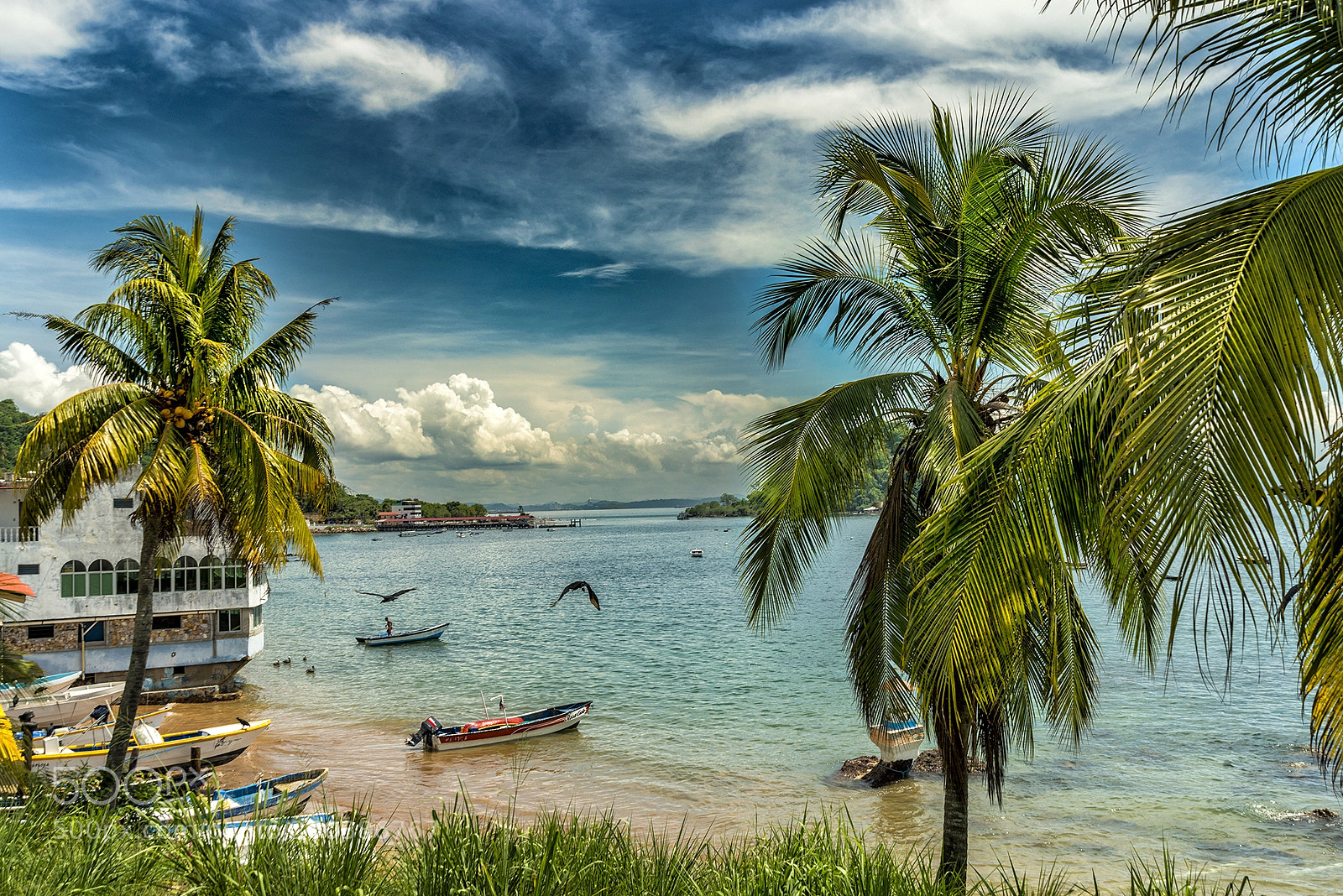 Nikon D800E sample photo. La bella isla de photography