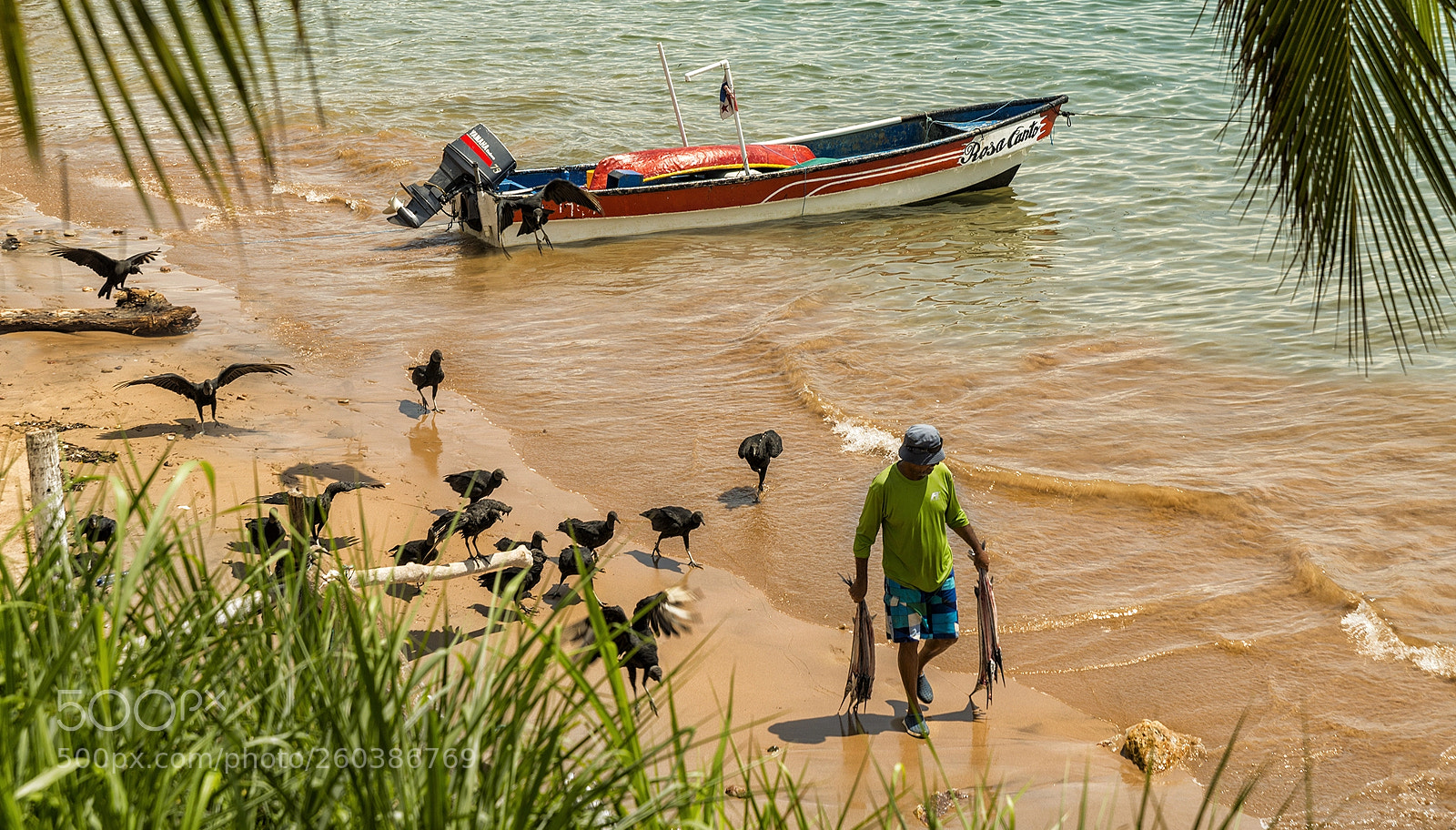 Nikon D800E sample photo. Pescador en taboga photography