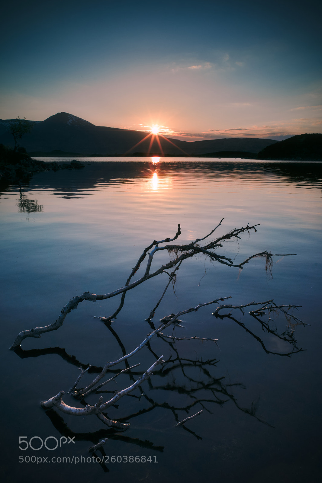 Sony a7R sample photo. Ghost of a tree photography
