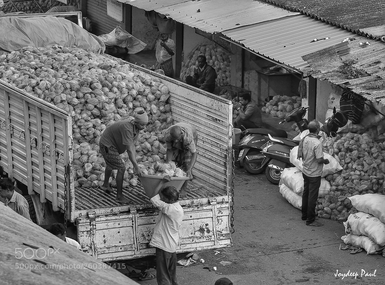 Nikon D3300 sample photo. Coconut industry photography