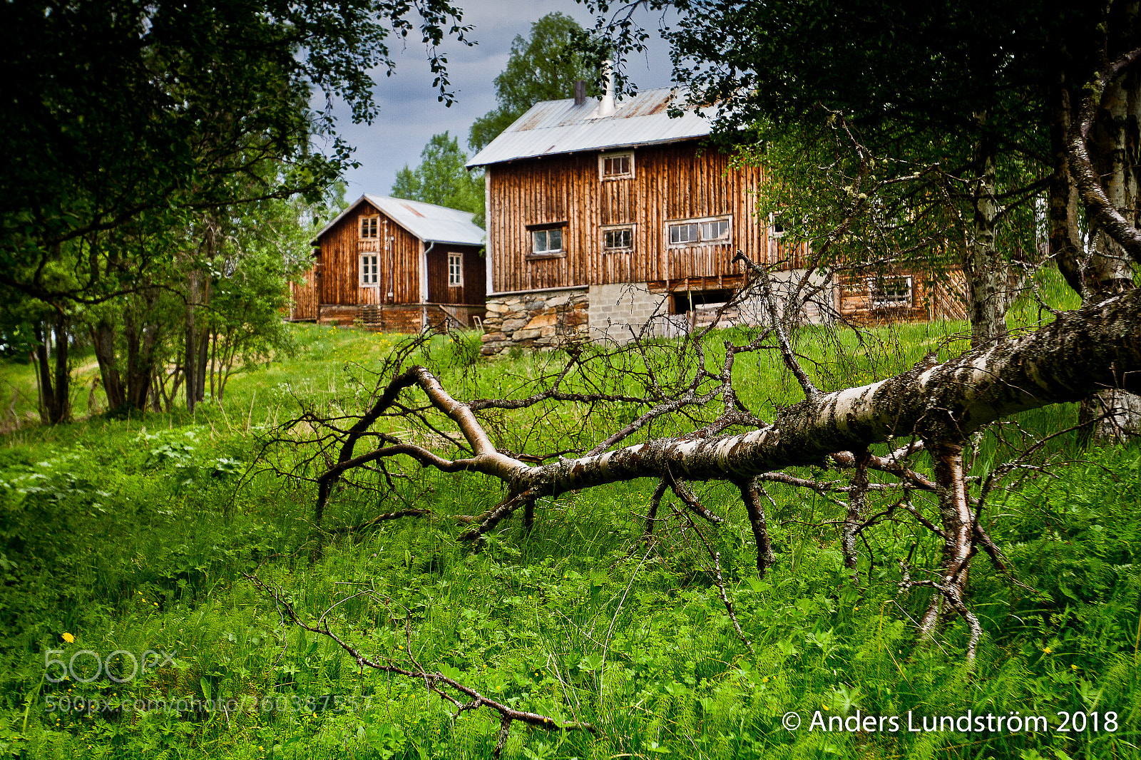 Canon EOS 7D sample photo. Fallet tr d vid photography