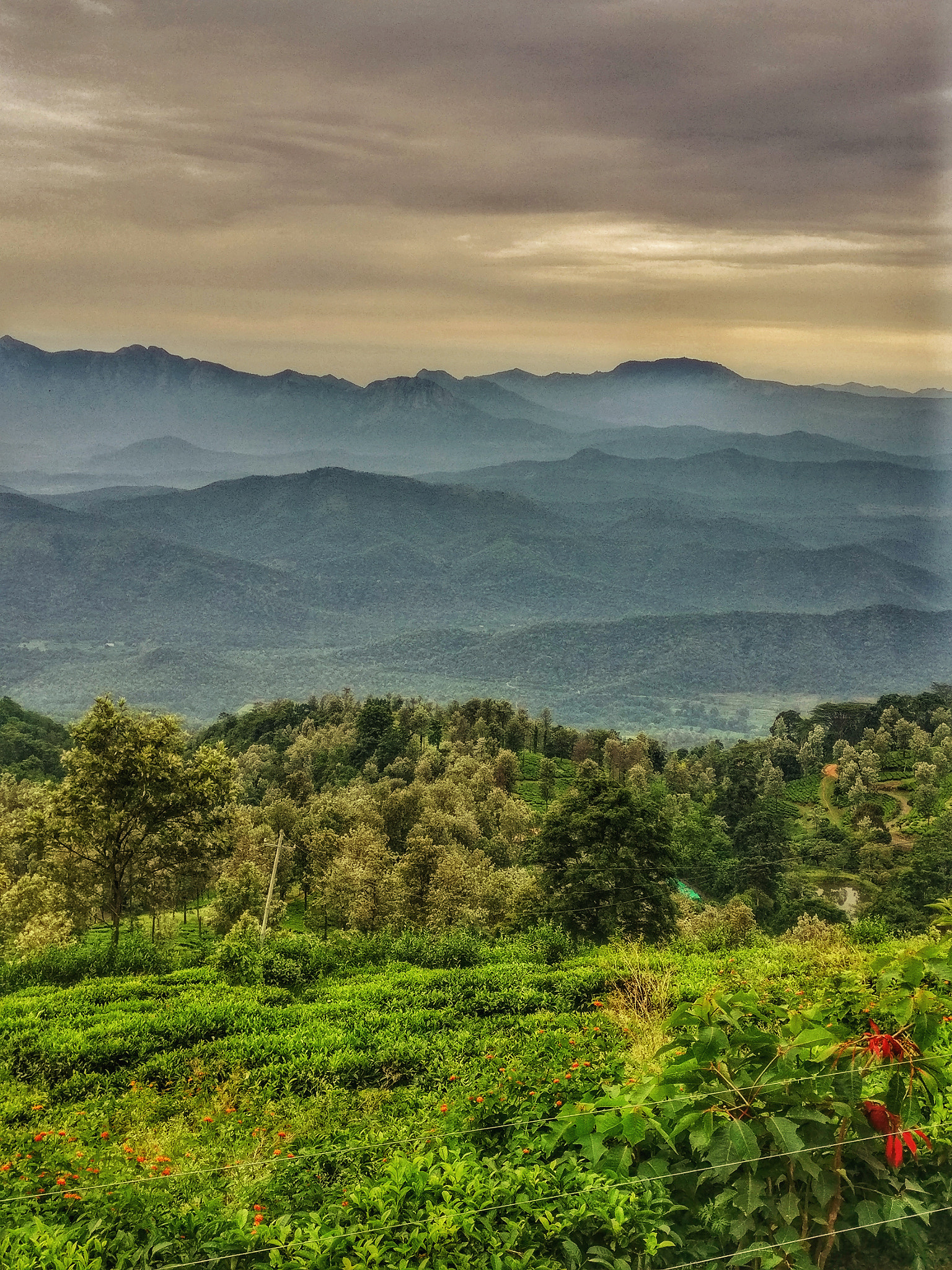OnePlus A3003 sample photo. #nilgiris photography
