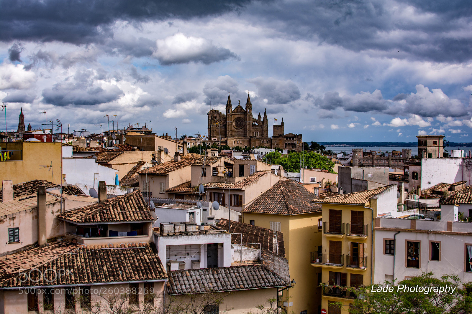Nikon D7100 sample photo. Above the city photography