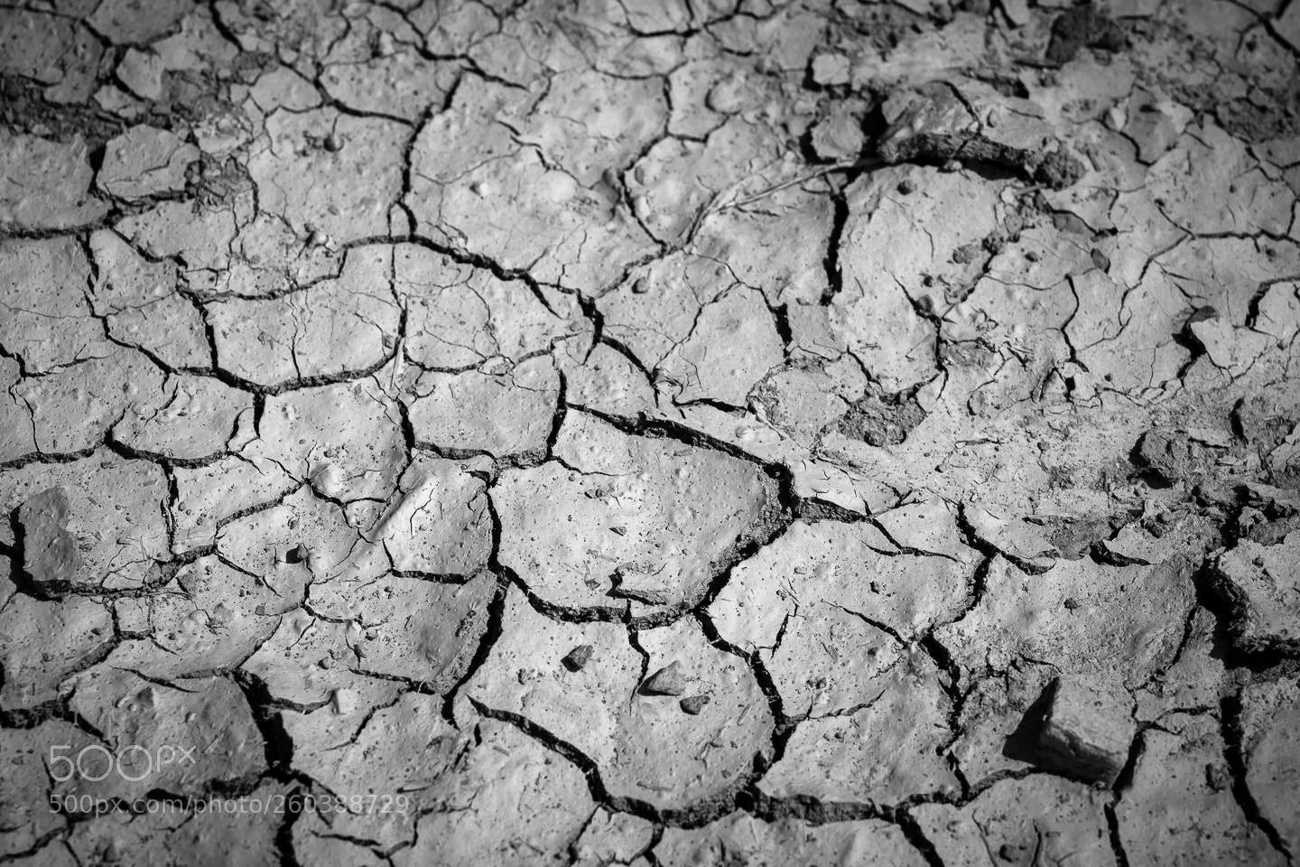 Canon EOS 7D Mark II sample photo. Close-up of the cracked photography