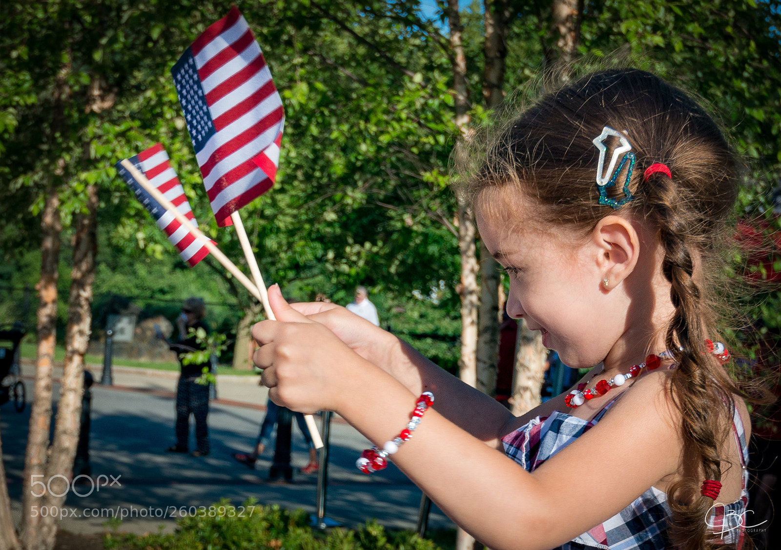 Nikon D800 sample photo. Th flags photography