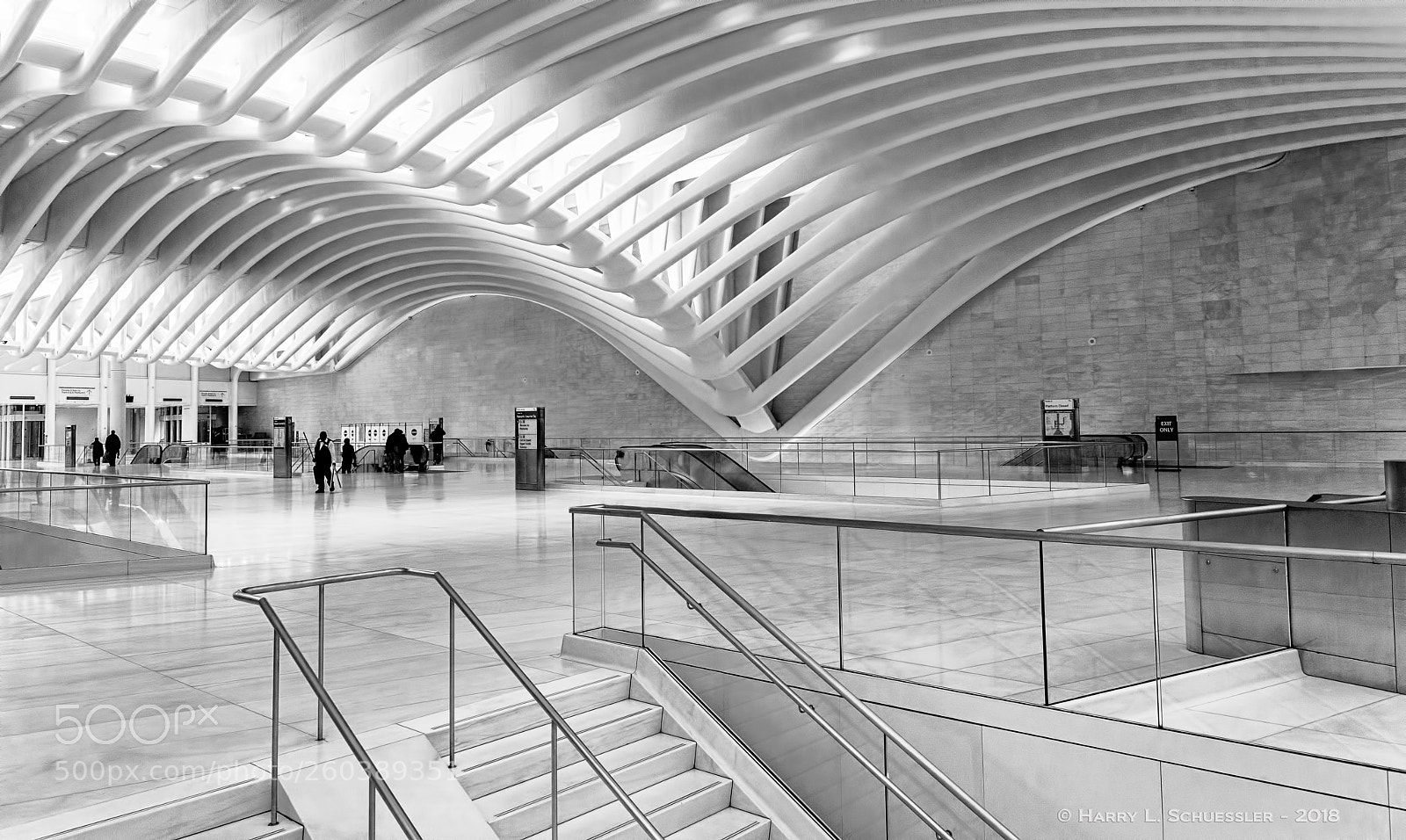 Nikon D800E sample photo. Path station nyc photography
