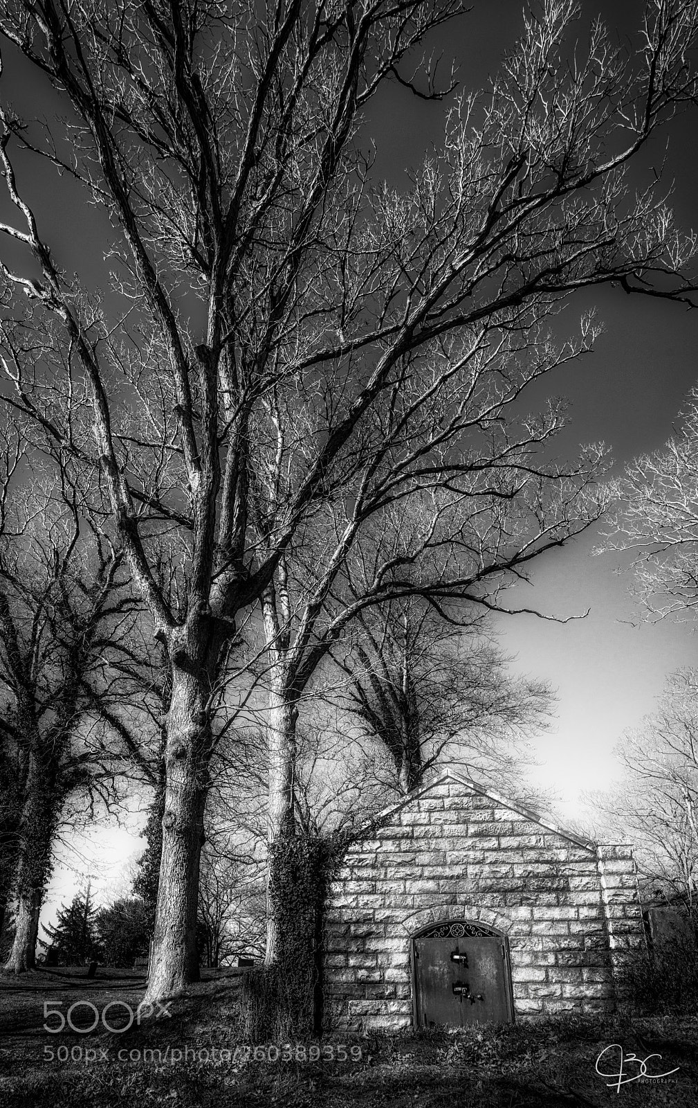 Nikon D800 sample photo. Asheville cemetary photography