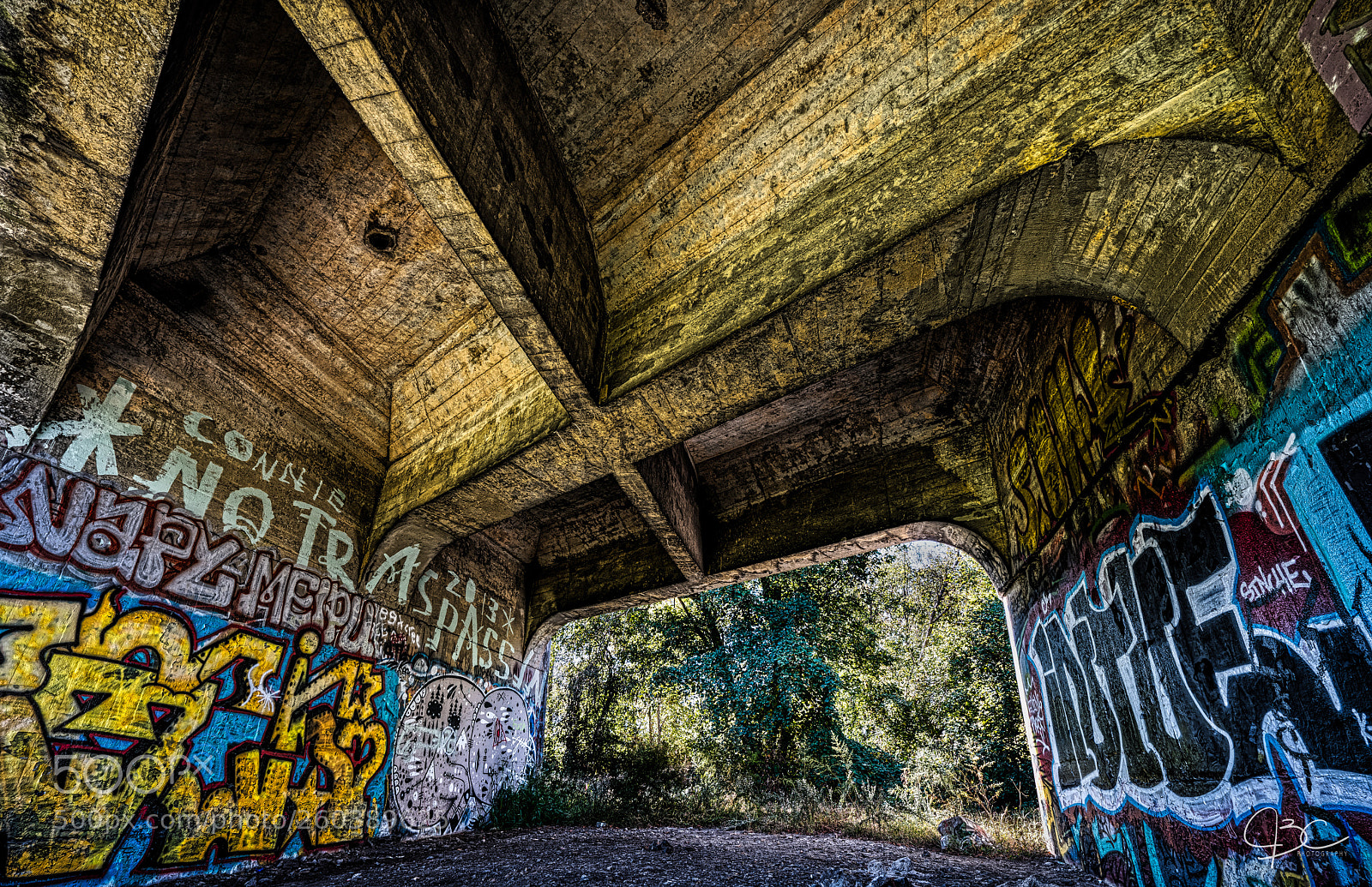 Sony a7R II sample photo. Texture photography