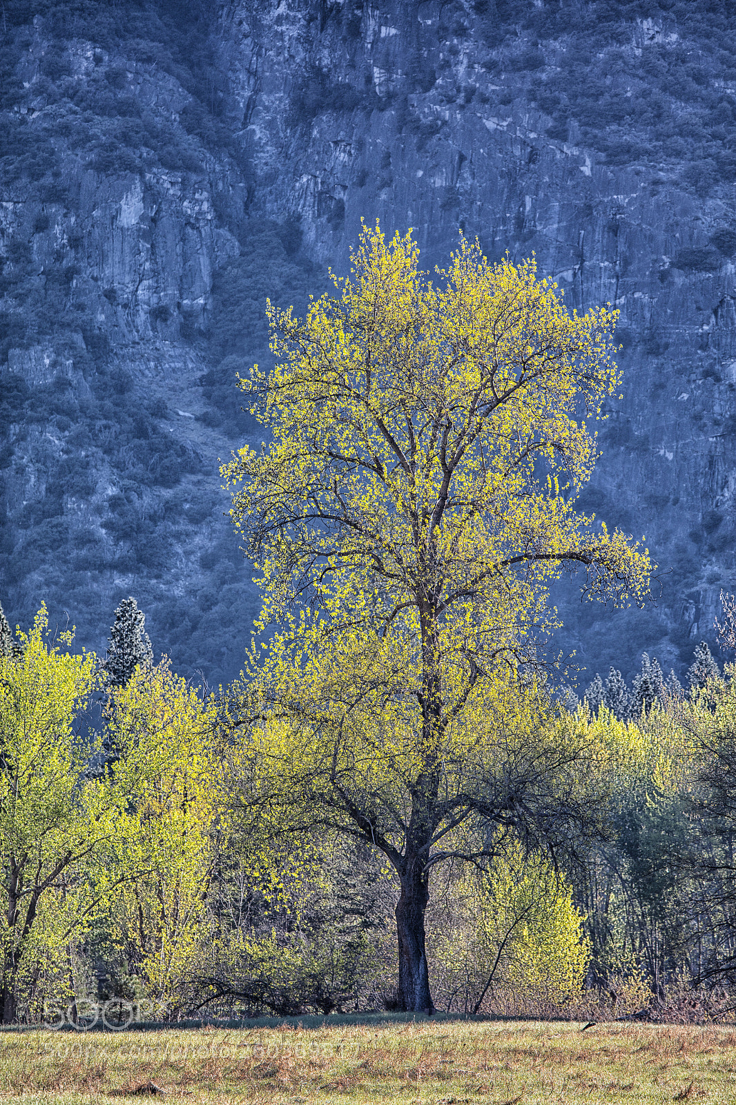 Canon EOS 5DS R sample photo. Aglow photography