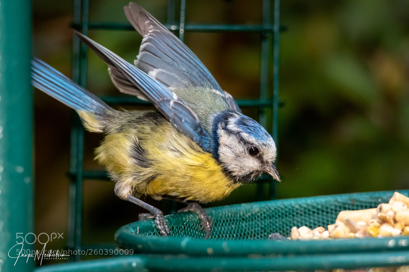 Canon EOS 7D Mark II sample photo. Food attack photography