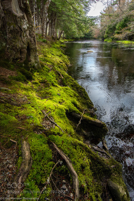 Nikon D7100 sample photo. Riverbank photography