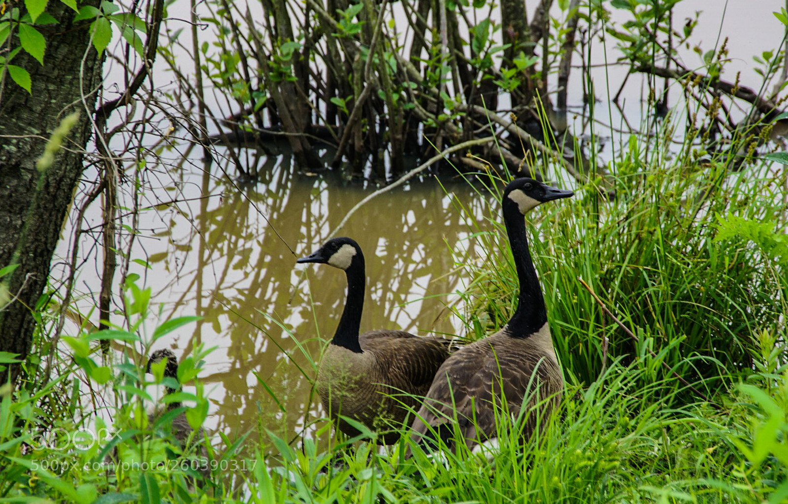 Sony a6000 sample photo. At the edge photography