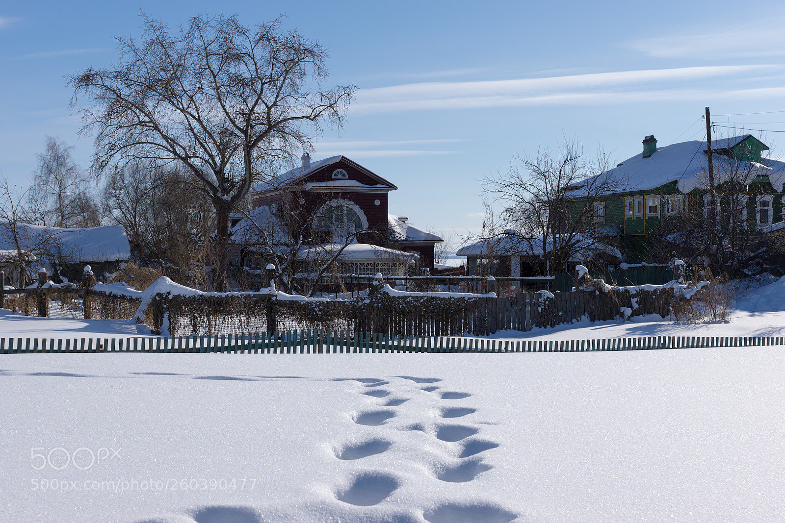 Sony SLT-A77 sample photo. копия photography