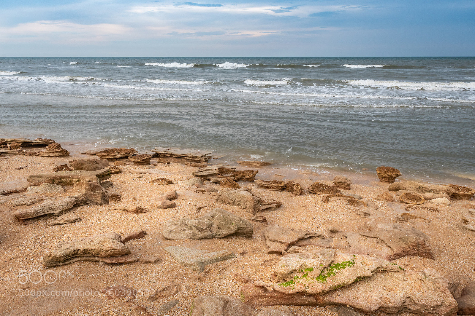 Nikon D750 sample photo. Coquina rock beach photography