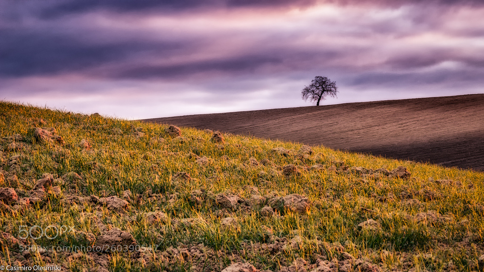 Canon EOS 600D (Rebel EOS T3i / EOS Kiss X5) sample photo. Terra! photography