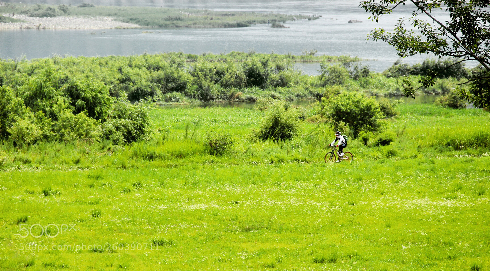 Canon EOS 700D (EOS Rebel T5i / EOS Kiss X7i) sample photo. Cycling man  photography