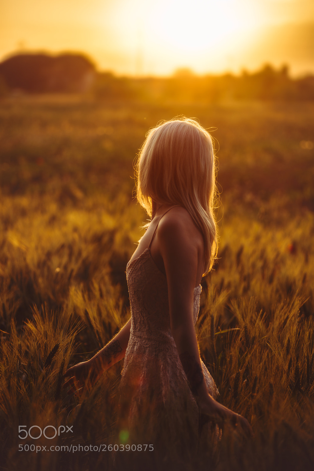 Nikon D800 sample photo. Loving sunset. photography
