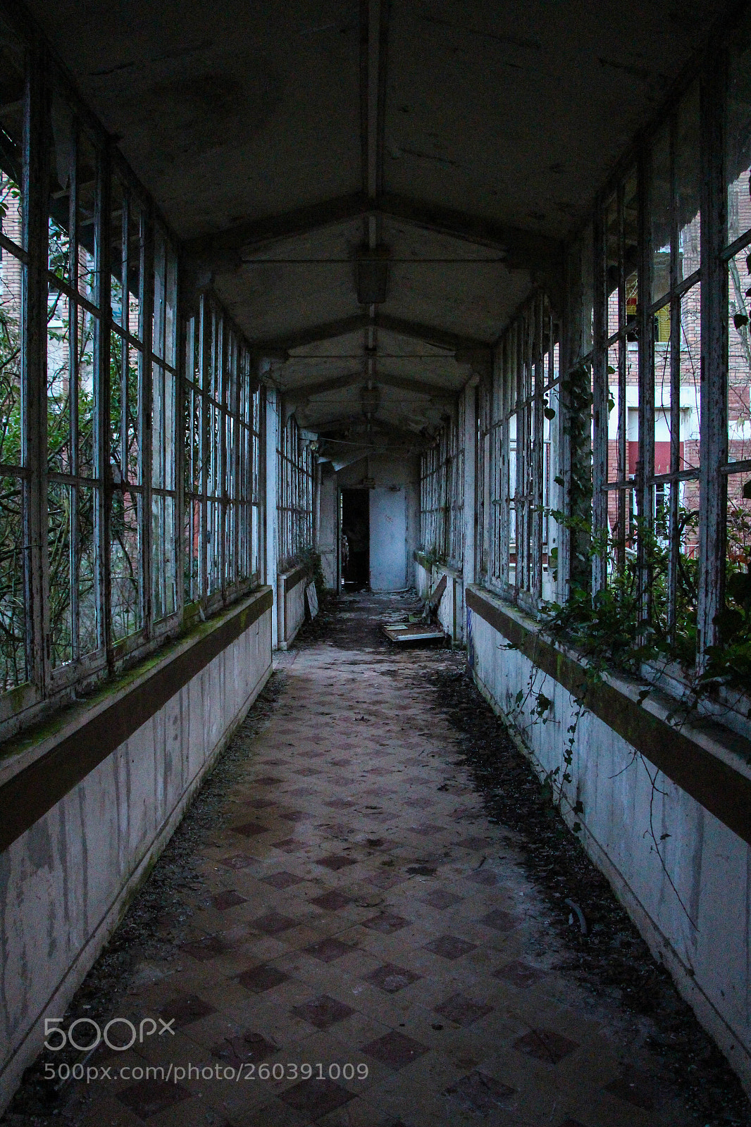 Canon EOS 700D (EOS Rebel T5i / EOS Kiss X7i) sample photo. Sanatorium, chantilly, janvier 2018 photography