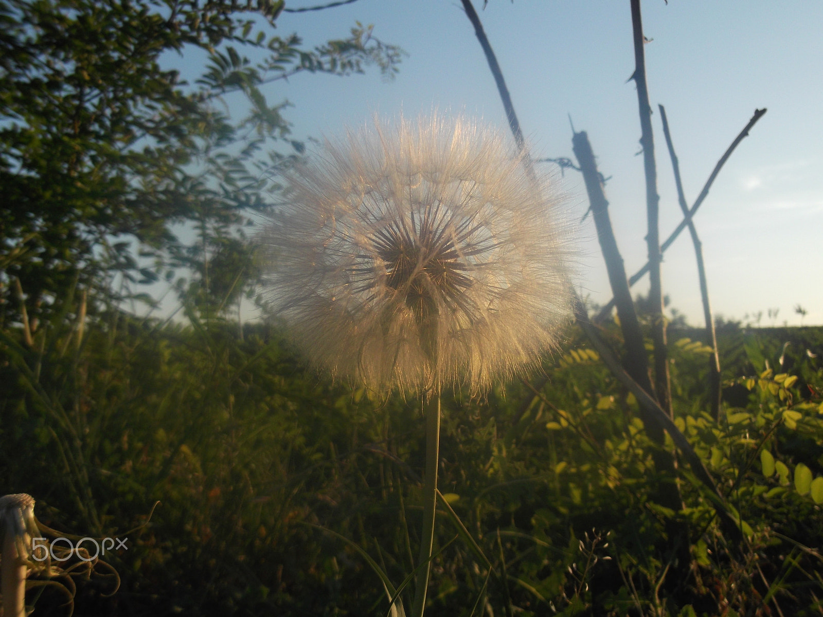 Fujifilm FinePix JV300 sample photo. Random ! photography