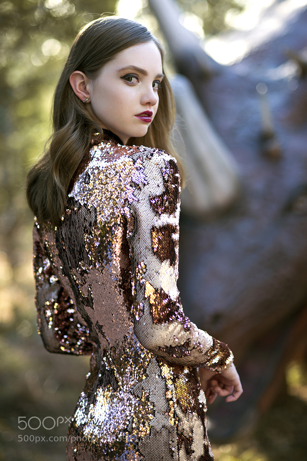Nikon D800 sample photo. Lost world photography