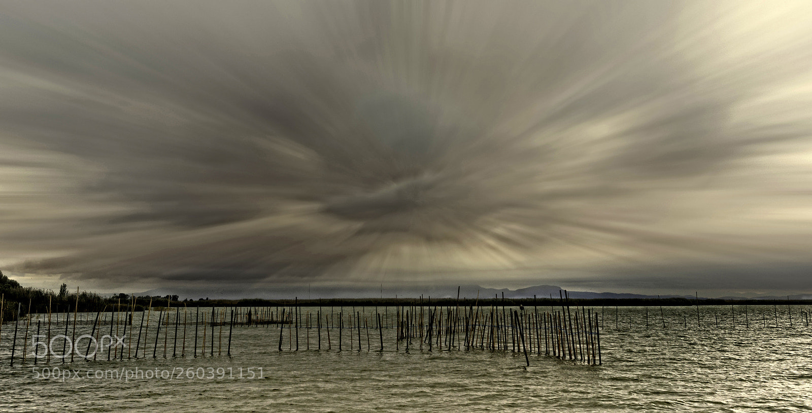 Nikon D800 sample photo. Albufera photography