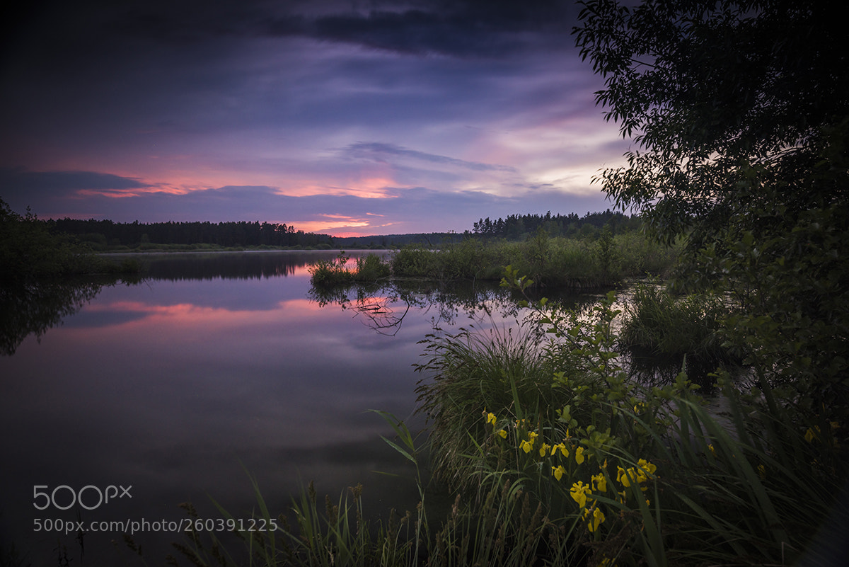 Nikon D810 sample photo. Oberpfalz photography