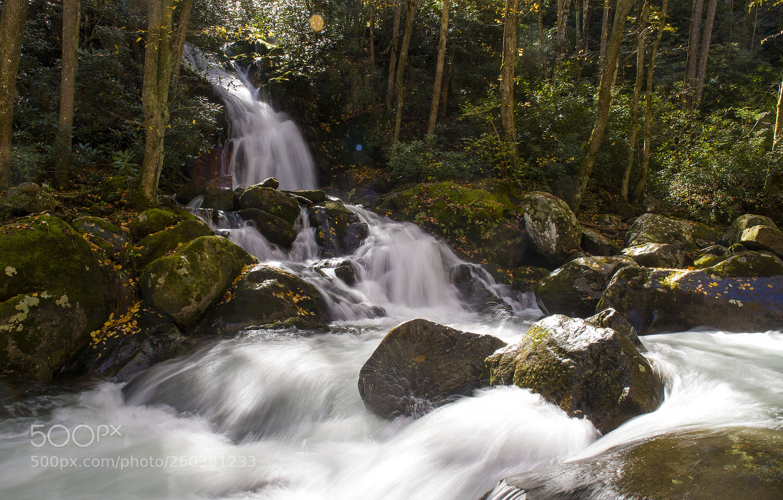 Nikon D300 sample photo. Mouse creek falls photography