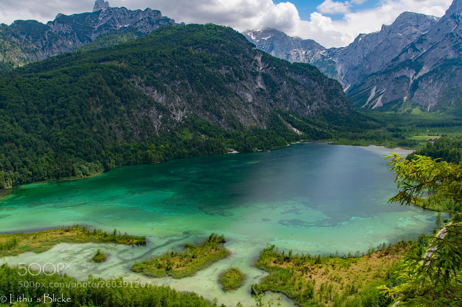 Nikon D7500 sample photo. Almsee ameisstein photography