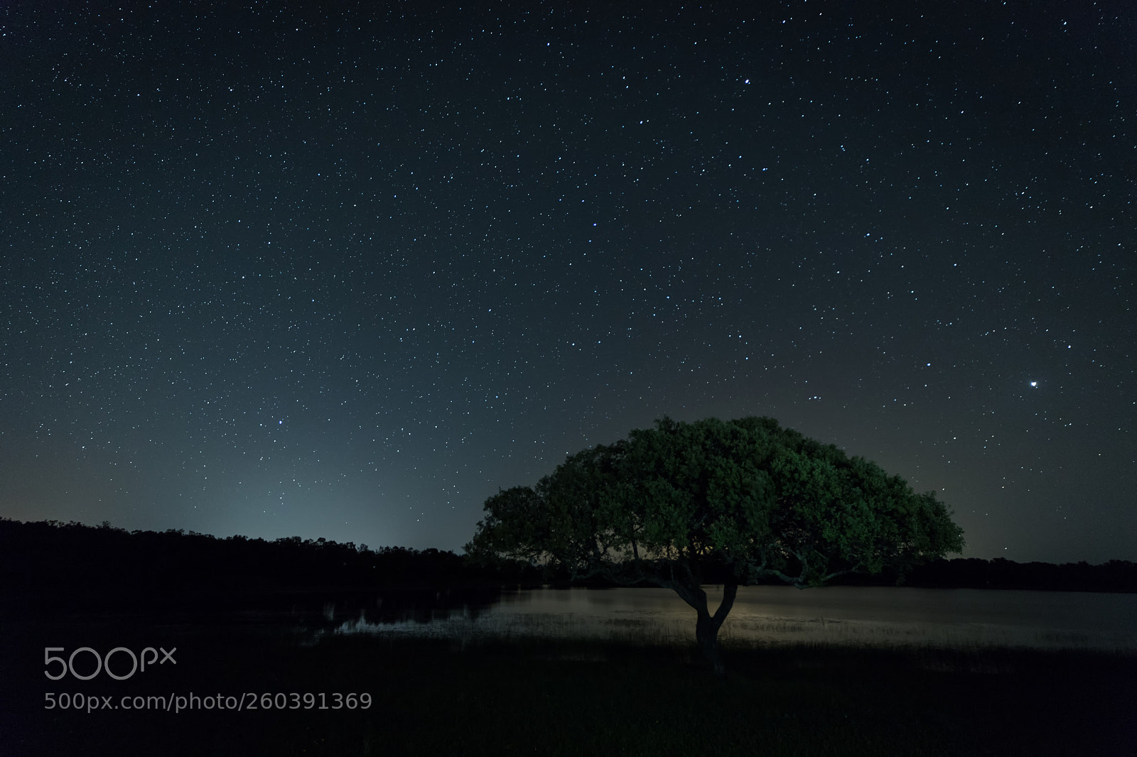 Canon EOS 6D Mark II sample photo. Noche en la dehesa photography