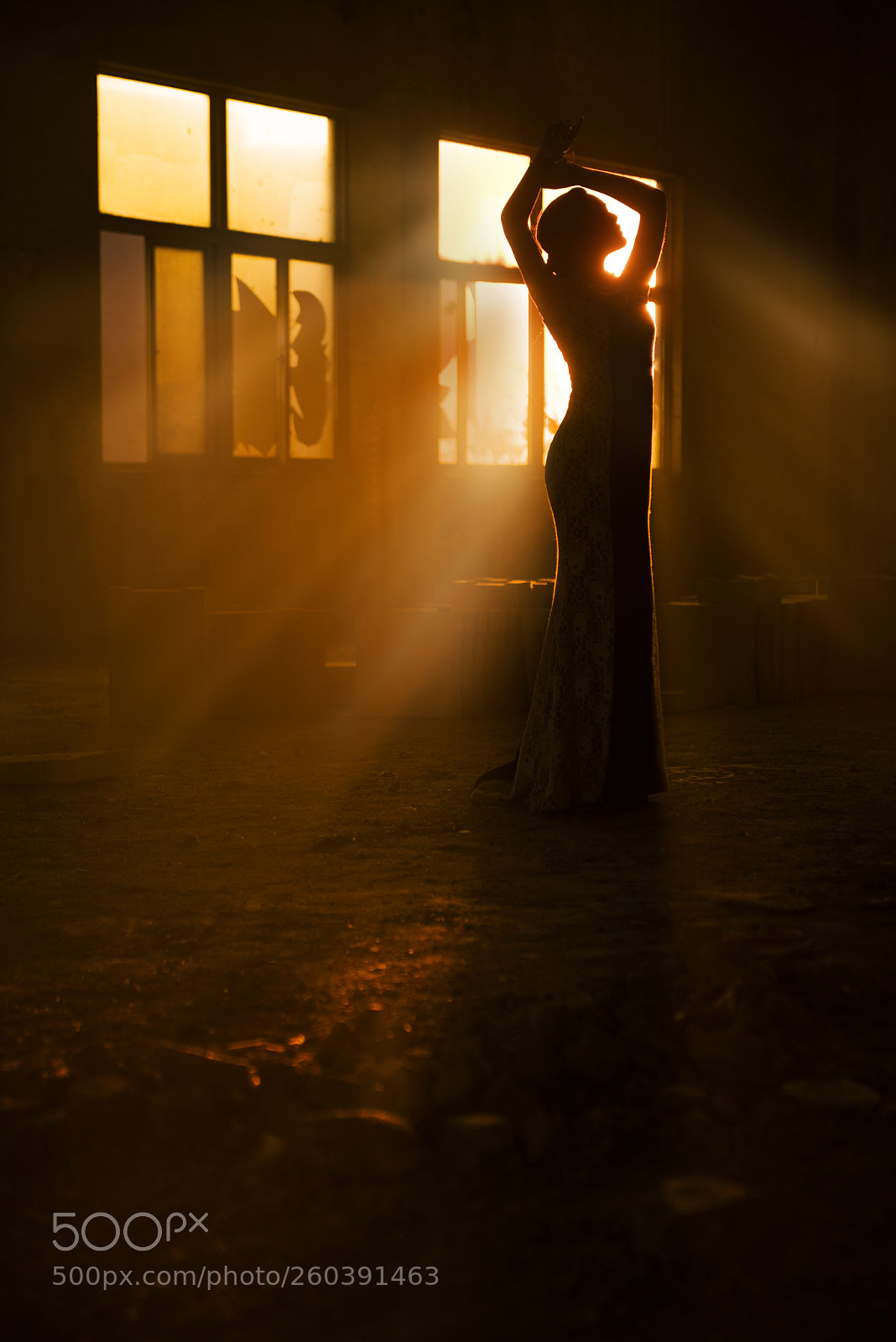 Nikon D750 sample photo. Untitled photography