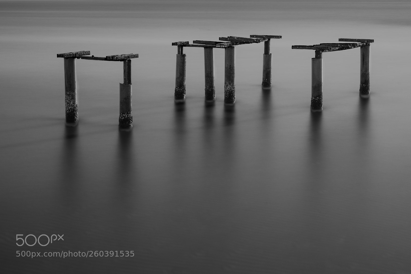 Nikon D750 sample photo. The rests photography